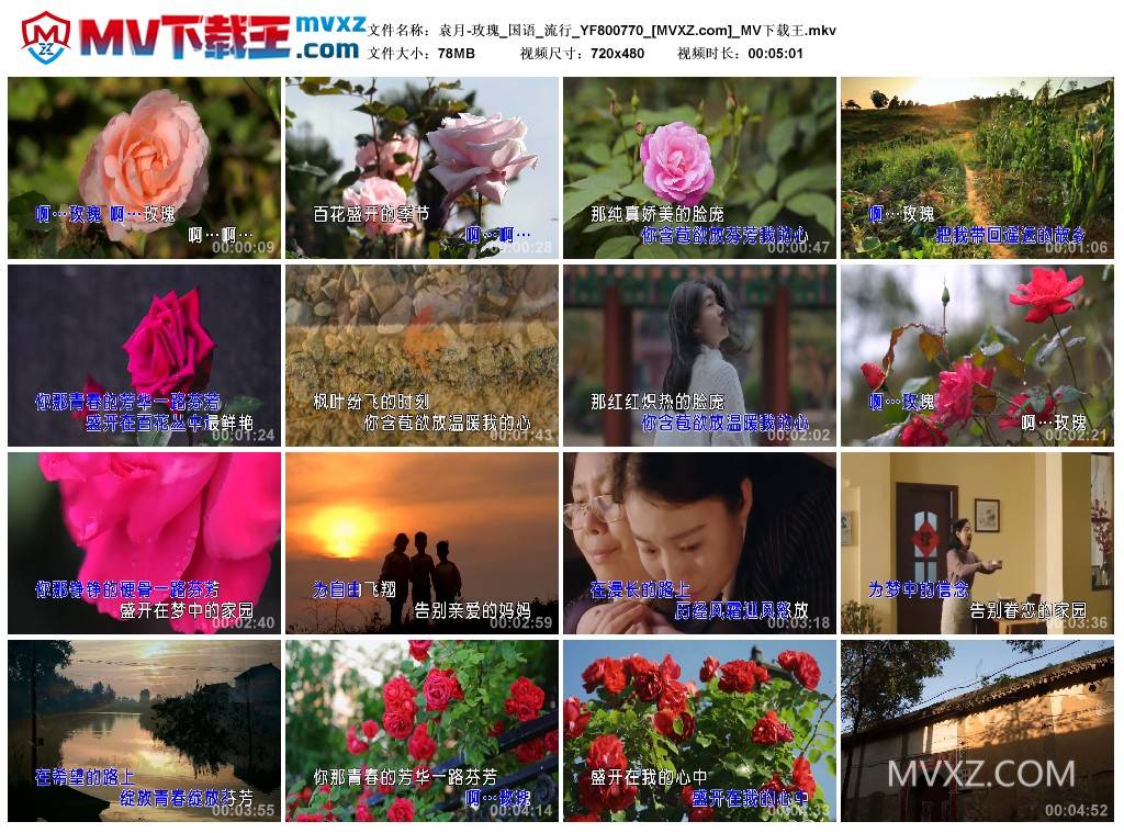 袁月-玫瑰_国语_流行_YF800770
